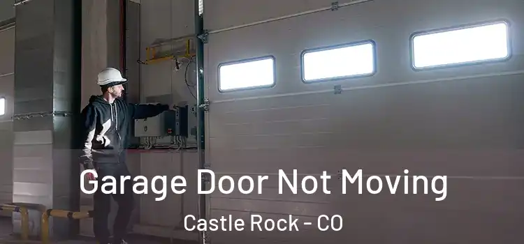  Garage Door Not Moving Castle Rock - CO