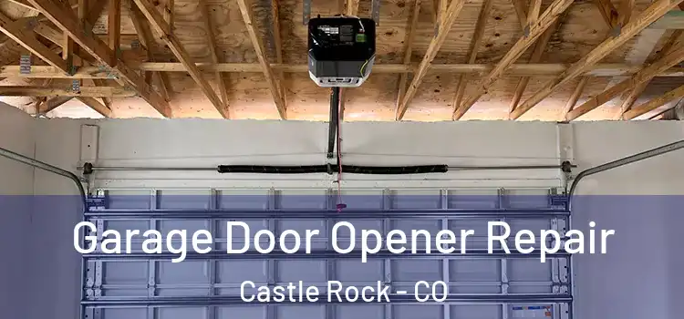  Garage Door Opener Repair Castle Rock - CO