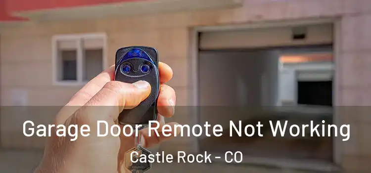  Garage Door Remote Not Working Castle Rock - CO