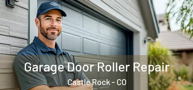  Garage Door Roller Repair Castle Rock - CO