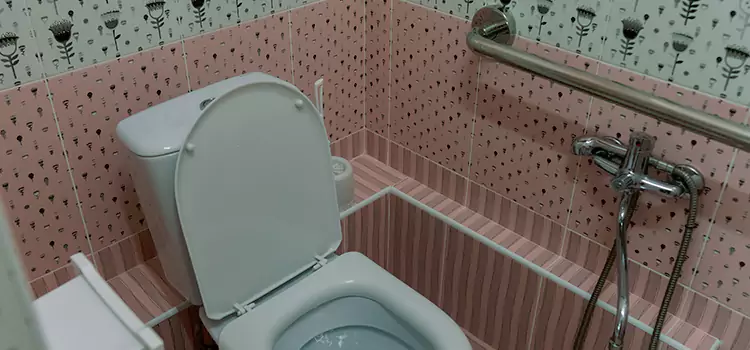 Meeting Diverse Needs With Accessible Restroom Solutions in Castle Rock, CO